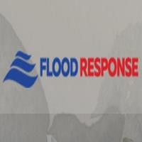 Flood Response image 1